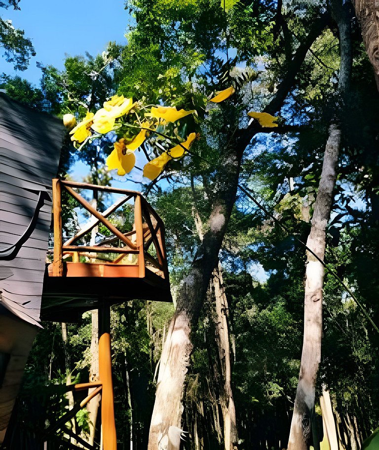 Cabana Diamante na Floresta | Hidro|Ar|Fogueira