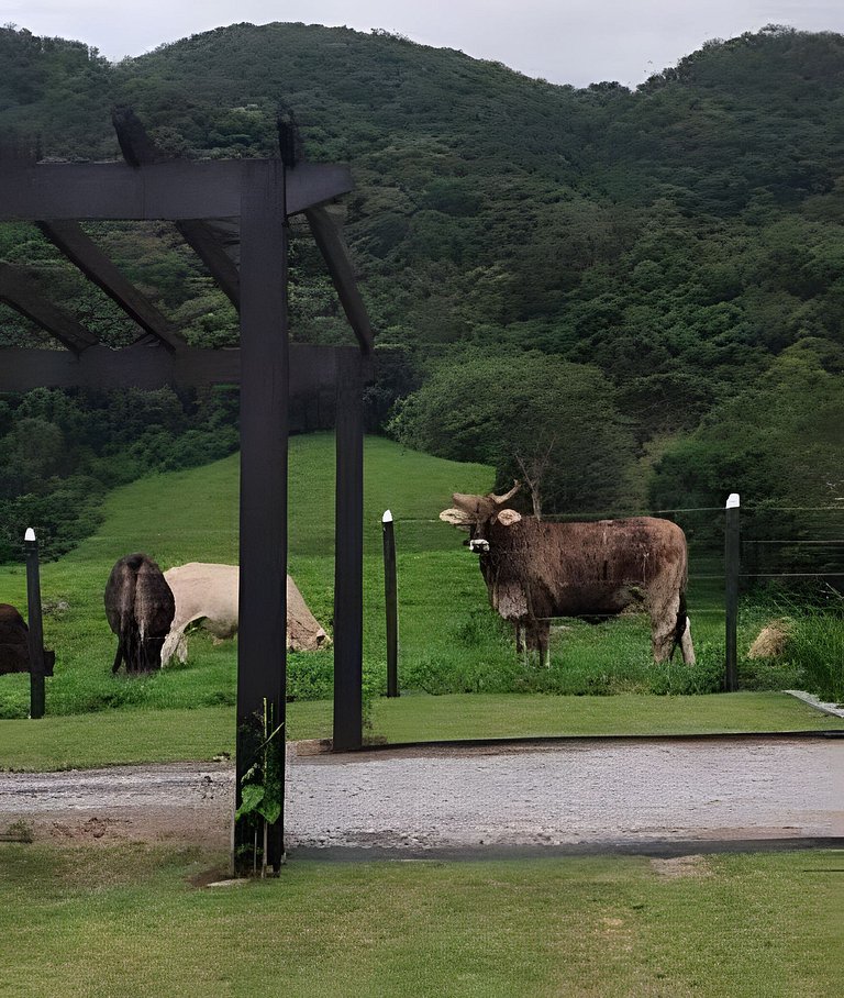 Cabana Triângulo do Sol | Vista montanhas | Hidro | Ar